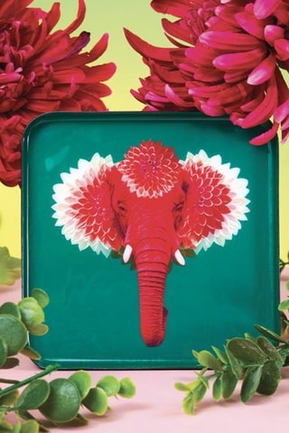 Vide poche Pachii - 15 x 15 cm - Vert