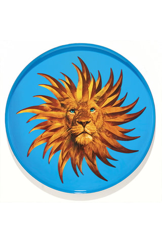 Plateau Solarking - 33 cm