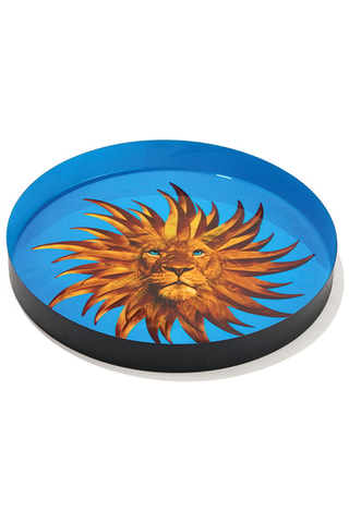 Plateau Solarking - 33 cm