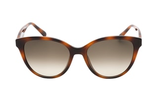 Lunettes de soleil femme -  Catégorie 3 - Salvatore Ferragamo - Blanc, marron et noir