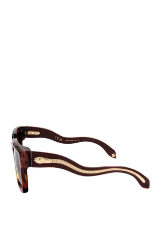 Lunettes de soleil femme - Catégorie 3 - Roberto Cavalli - Marron