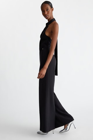 Mono - Negro