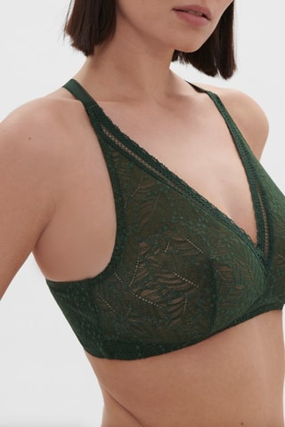 Reggiseno Comette - Verde scuro