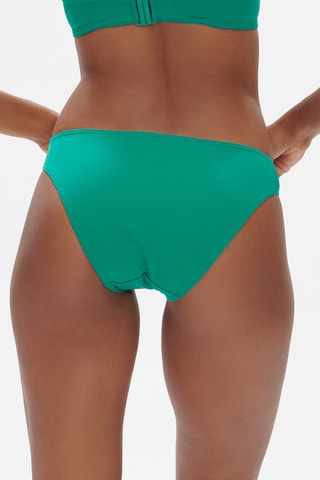 Slip bikini Palmeraie - Verde