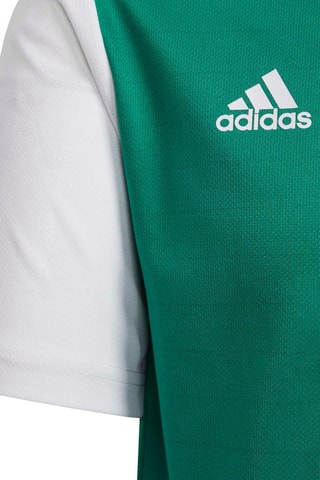 Maillot de football regular Estro 19 - Vert