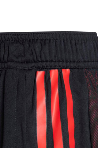 Short de football regular Royal Belgian Football Association - Noir