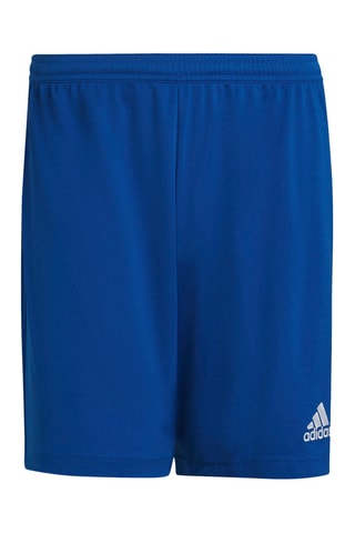 Short de football regular Entrada - Bleu roi