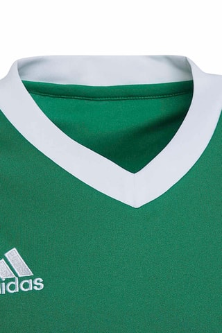 Maillot de football Entrada - Vert clair