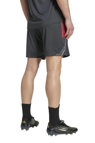 Short regular de football Olympique Lyonnais - Anthracite