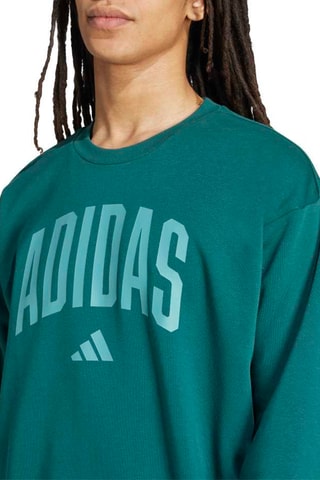 Sweat d’entraînement Seasonals - Vert