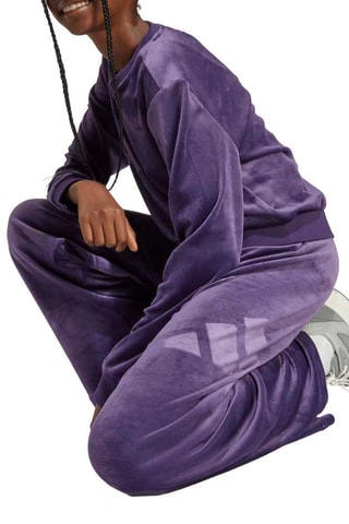 Pantalon regular en velours Seasonals - Violet