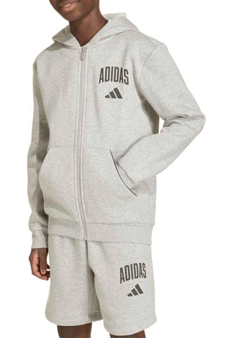 Sweat à capuche Seasonals - Gris clair chiné
