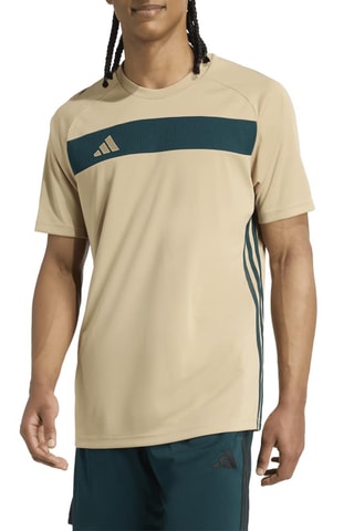 Maillot de football slim Tiro - Beige et vert foncé