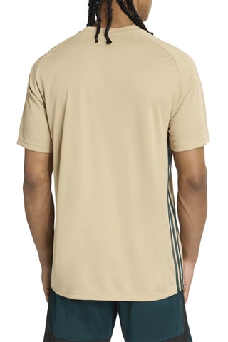 Maillot de football slim Tiro - Beige et vert foncé