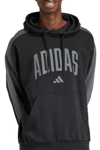 Sweat d’entraînement polaire à capuche Seasonals - Noir