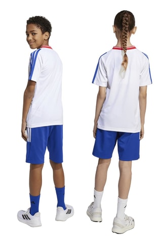 Short regular d’entraînement - Bleu roi