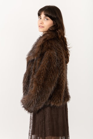 Jasje  - Bruin