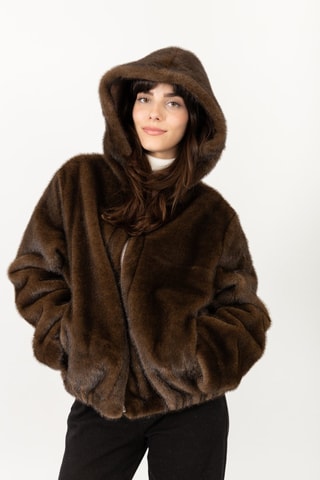 Jasje  - Bruin