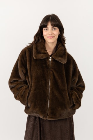 Jasje  - Bruin