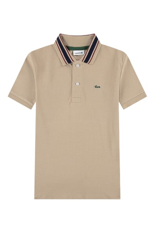 Polo - Marron