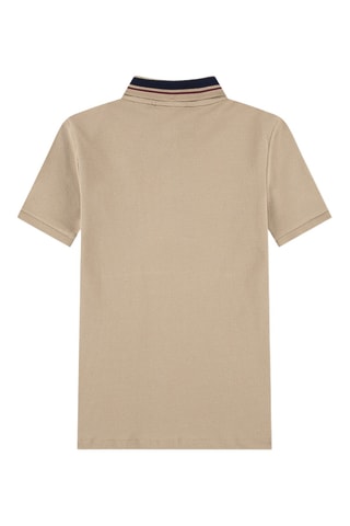 Polo - Marron