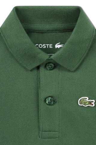 Body-polo - Vert