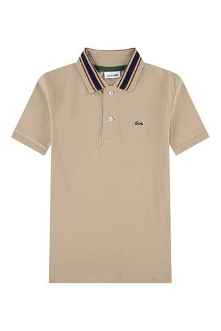 Polo - Marron