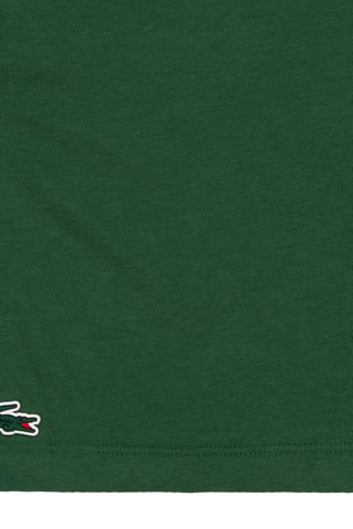 T-shirt - Vert