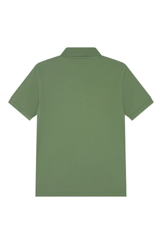 Polo - Vert