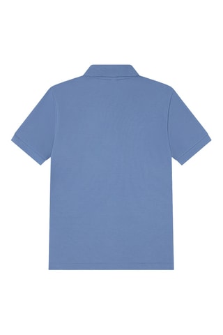 Polo - Vert
