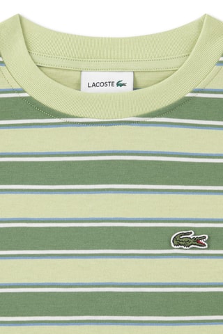 T-shirt - Vert