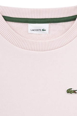 Pull relaxed en coton biologique - Rose