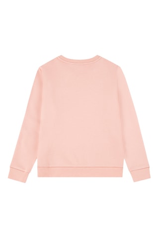 Sweat - Rose