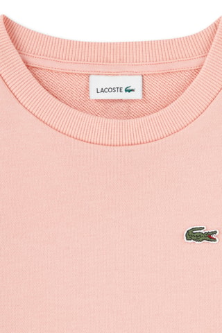 Sweat - Rose
