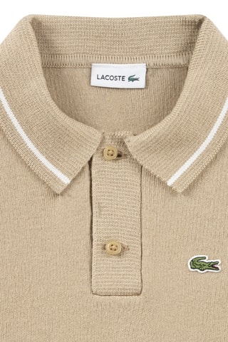 Pull en coton biologique - Marron