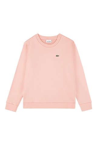 Sweat - Rose