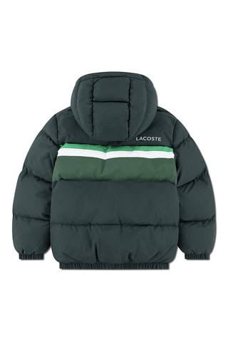 Doudoune à capuche - Vert