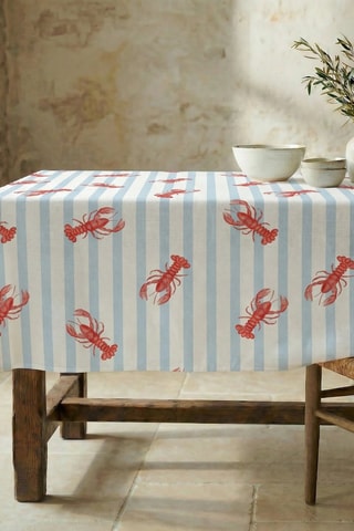 Nappe antitache  - Blanc et ciel