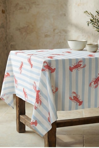 Nappe antitache  - Blanc et ciel