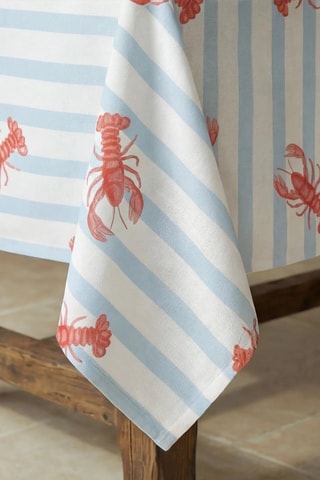 Nappe antitache  - Blanc et ciel