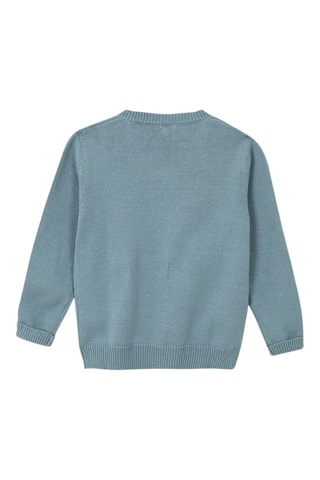 Trui Turquoise - Blauw