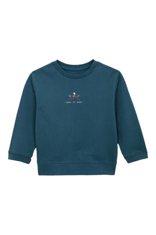 Sweater - Donkergroen - Blauw en groen