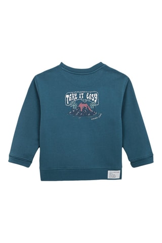 Sweater - Donkergroen - Blauw en groen