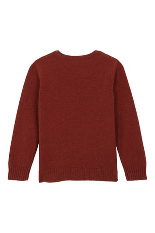 Wollen Trui - Rood - Bruin