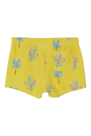 Zwembroekje Limoengroen - Blauw, groen en roze