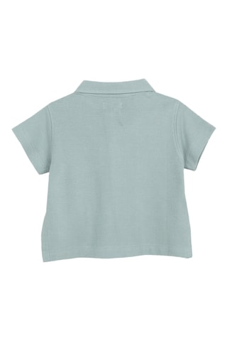 Polo - Groen