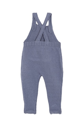 Tuinbroek Kobaltblauw - Blauw