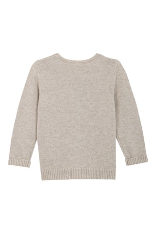 Wollen Trui - Lichtgrijs - Beige
