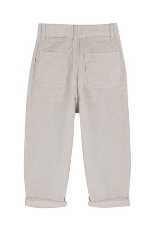 Velours Broek Beige - Beige en bruin