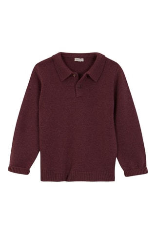 Wollen Polo - Paars